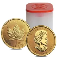 2024 Gold Maple Leaf 1ozt Tube med 10 stk